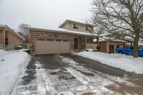 11 Celia CRES, Guelph, ON N1G 4R5