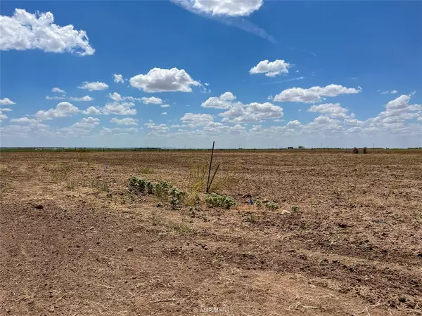 Hawley, TX 79525,TBD 19 PR Circle T