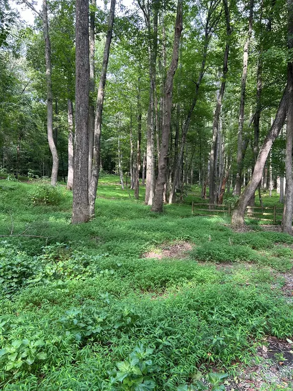 Heathsville, VA 22473,Lot 037 Crosshills RD