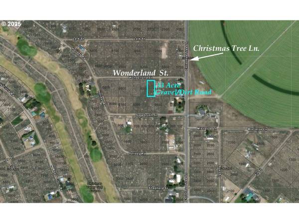 Christmas Valley, OR 97641,Wonderland ST #6200