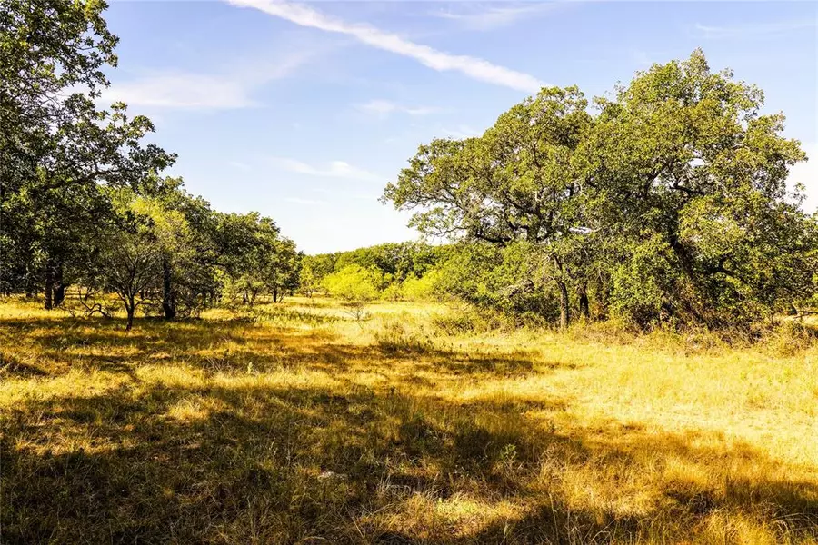 91.55 Acres Hammon Lane, Jacksboro, TX 76458