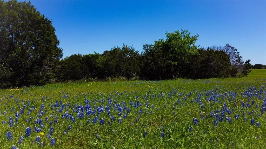 Lot 37 Royal Winchester Drive, Cleburne, TX 76033