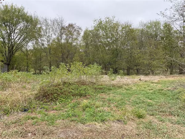 Lot 21 Pecan Valley Road, Quinlan, TX 75474