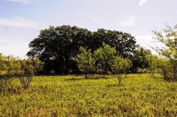 Jacksboro, TX 76458,91.55 Acres Hammon Lane