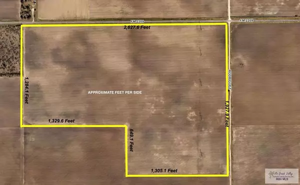 +/- 100 AC W FM 2209, San Perlita, TX 78590