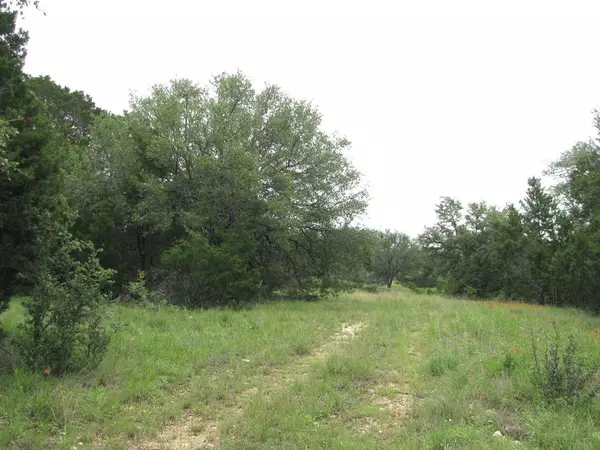 Evant, TX 76525,TBD-Lot 41 PR 42107