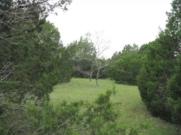 Evant, TX 76525,TBD-Lot 41 PR 42107