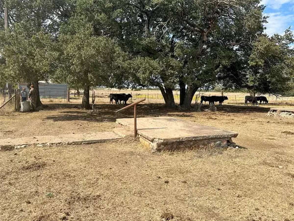 Gatesville, TX 76528,455 Dusty Lane