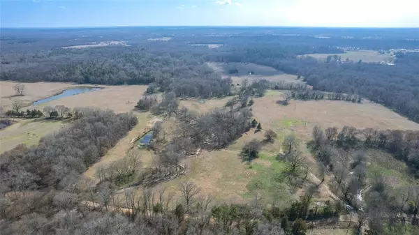 Winnsboro, TX 75494,56 ac CR 2376 County Road 2376 #1