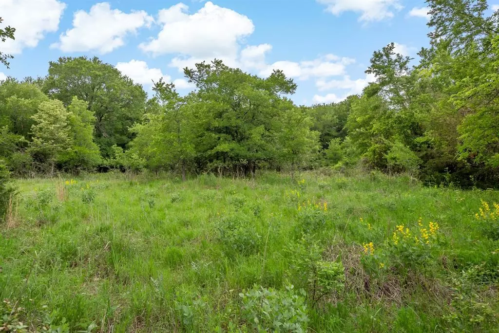 Royse City, TX 75189,TBD Lot 24 & Lot 25 CR- 2469