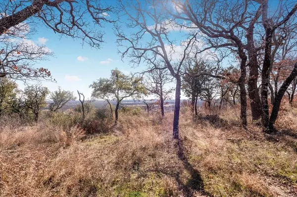 Mineral Wells, TX 76067,53 Ac Travis Drive