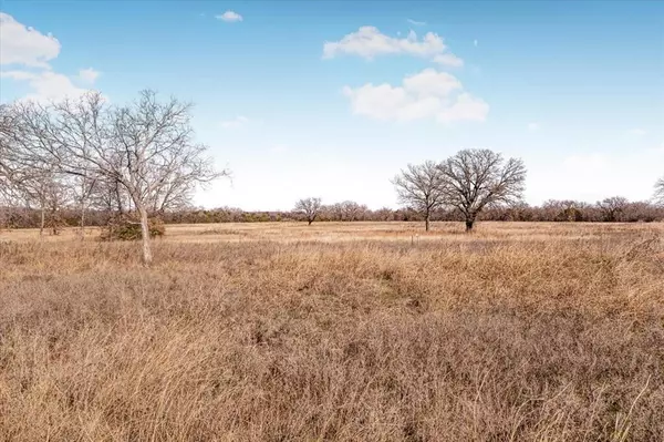 Mineral Wells, TX 76067,53 Ac Travis Drive