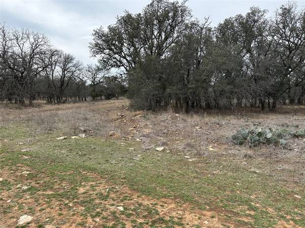 Brownwood, TX 76801,167 Falcon Drive