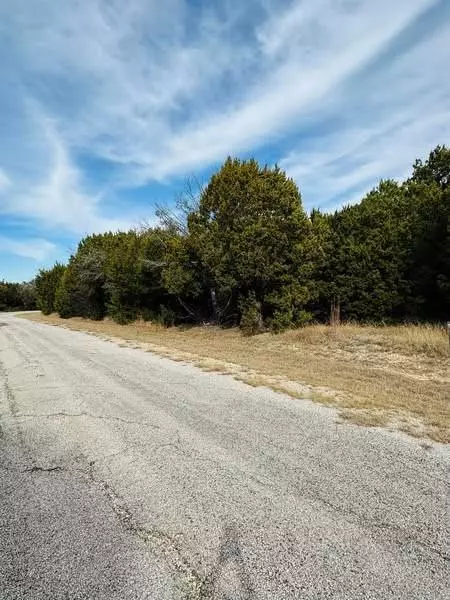 8125 High Mesa Drive, Whitney, TX 76692