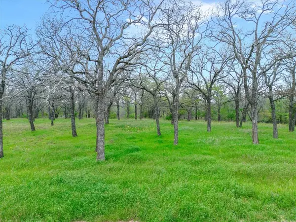 Lot 29 Block 1 Vaquero Drive, Weatherford, TX 76088