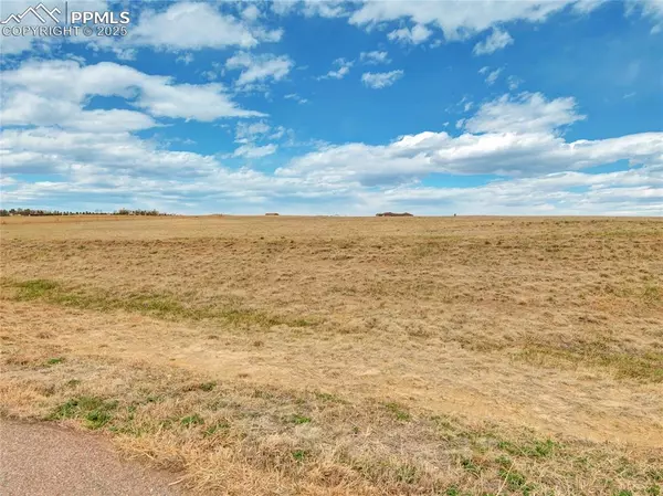 Peyton, CO 80831,15530 Amo RD