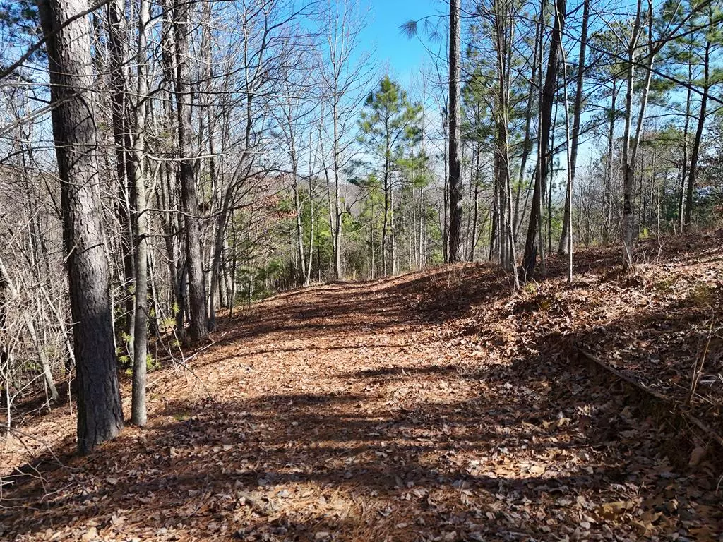 Blairsville, GA 30512,Lt 18 The Hills at Queens Gap