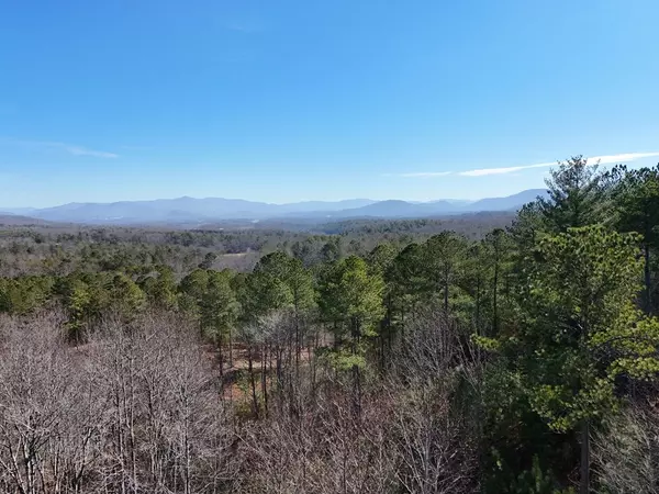 Blairsville, GA 30512,Lt 18 The Hills at Queens Gap