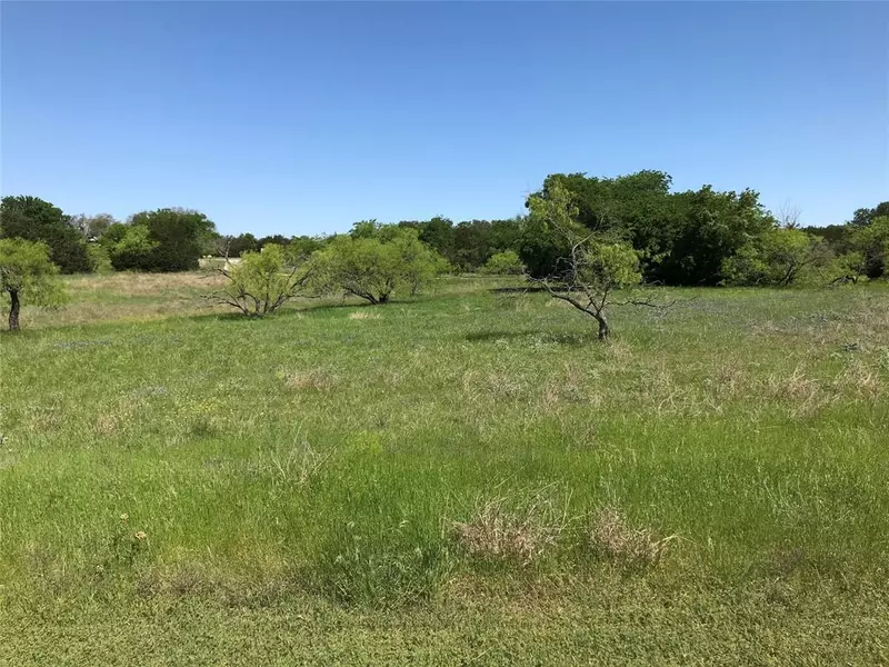 19115 White Bluff Drive, Whitney, TX 76692