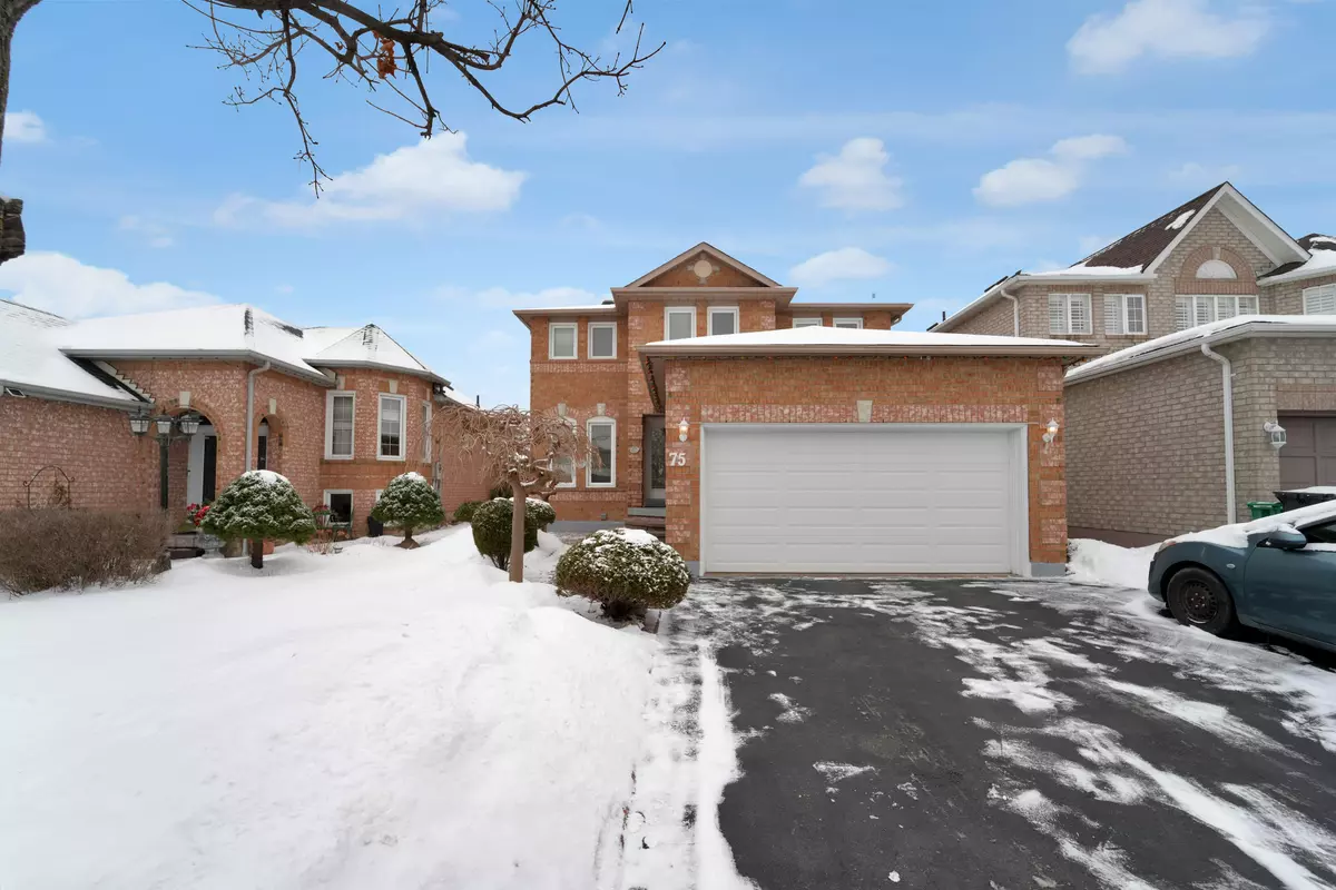 Brampton, ON L6X 4M1,75 Red Maple DR