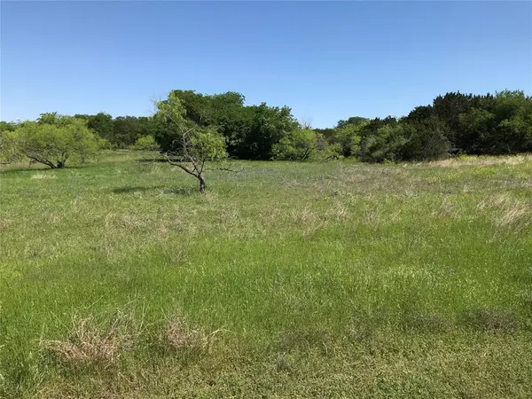 Whitney, TX 76692,19115 White Bluff Drive