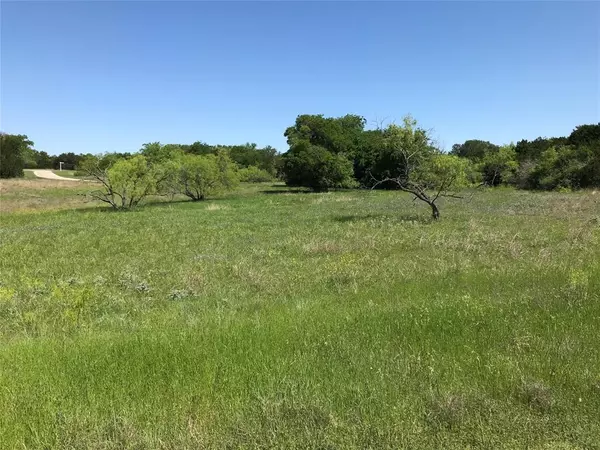 Whitney, TX 76692,19115 White Bluff Drive