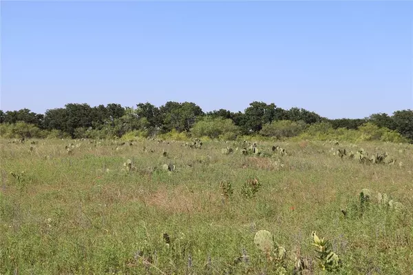 Gorman, TX 76454,TBD County Road 323