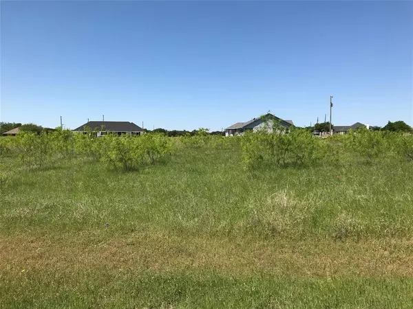 7138 Sandy Oaks Drive, Whitney, TX 76692