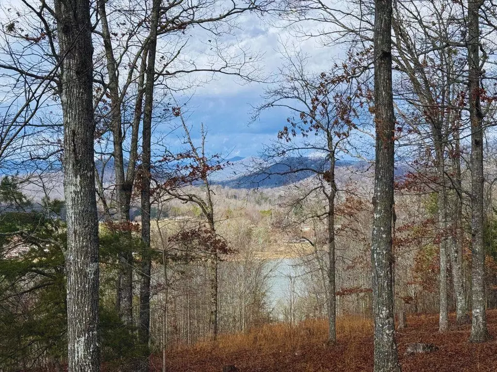 Hayesville, NC 28904,Lot 8 Drake Ridge