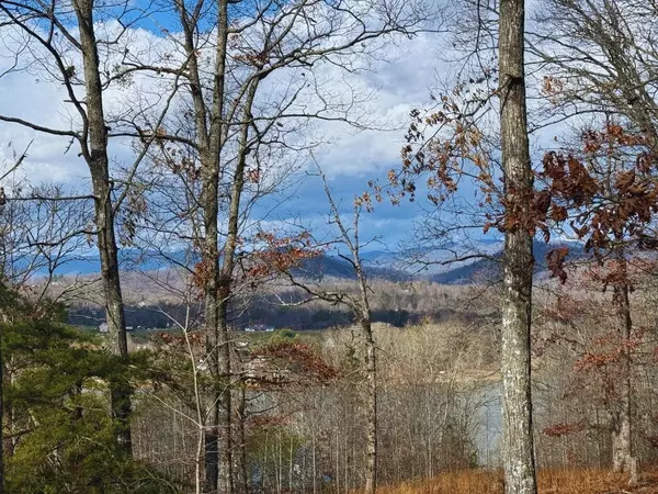 Hayesville, NC 28904,Lot 8 Drake Ridge