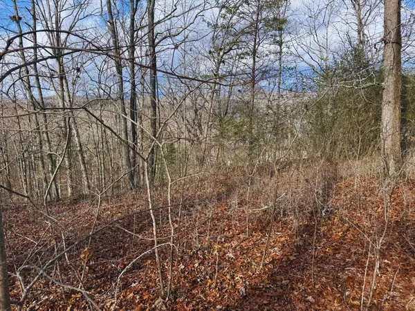 Hayesville, NC 28904,Lot 8 Drake Ridge