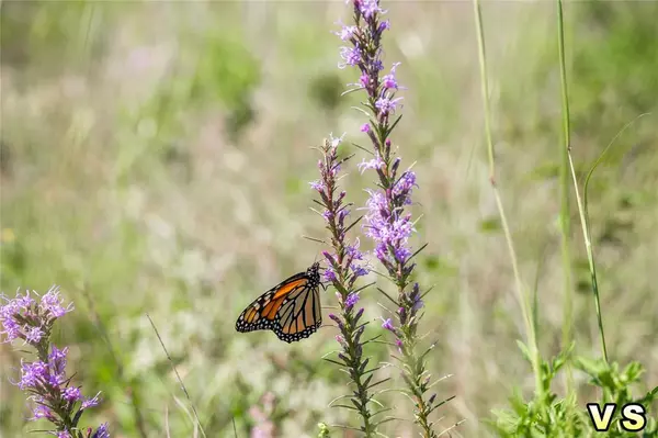 May, TX 76857,Lot 3 County Road 489