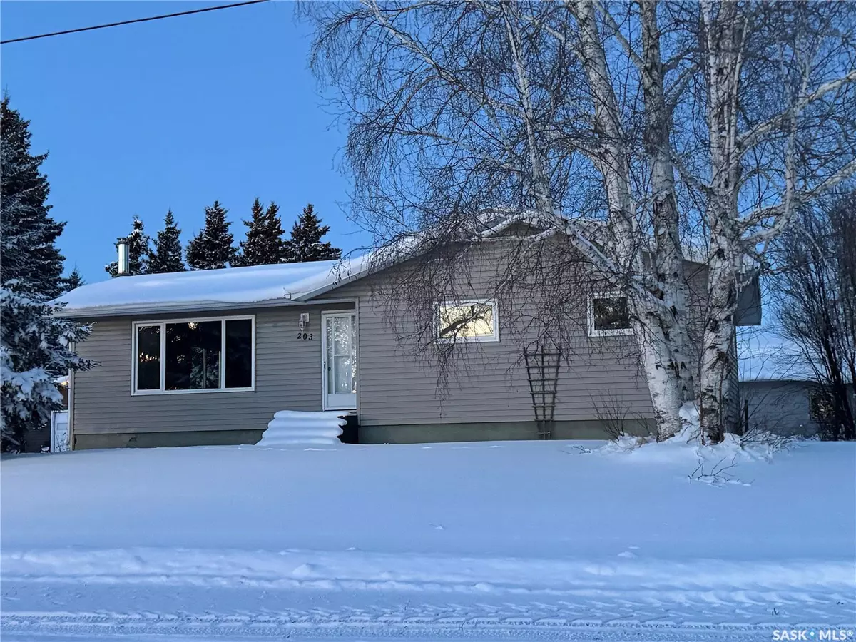 Stenen, SK S0A 3X0,203 2nd AVENUE N