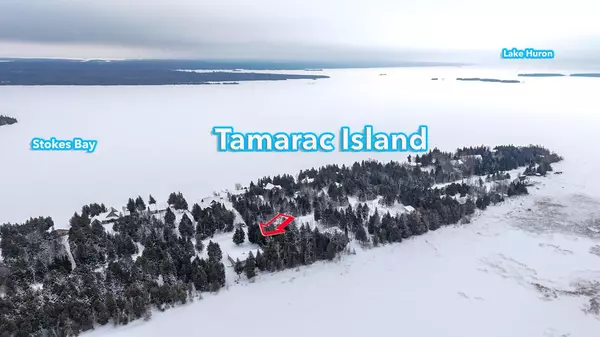 Northern Bruce Peninsula, ON N0H 2M0,264 Tamarac RD