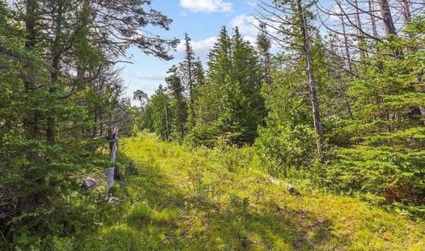 205 EAST RD, Northern Bruce Peninsula, ON N0H 1W0