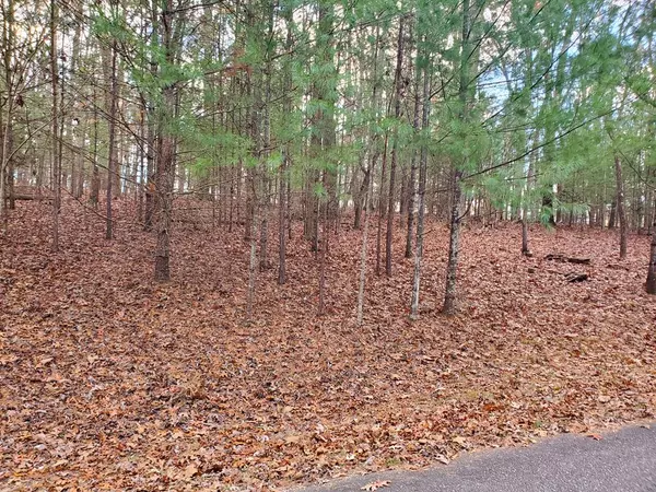 Blairsville, GA 30512,Lot 42 Arrowood Pointe