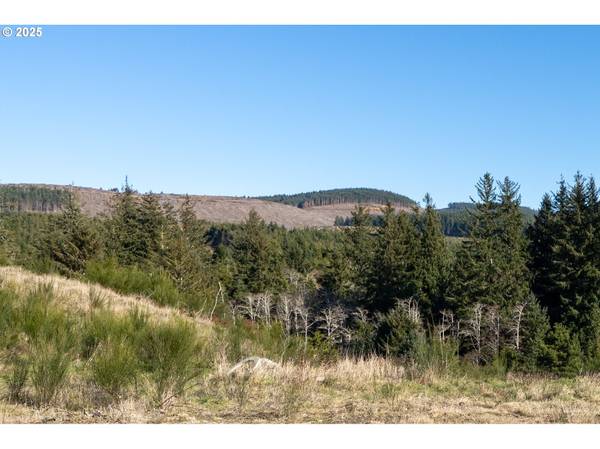 Roaring Tides-Lot 10 LOOP, Oceanside, OR 97134