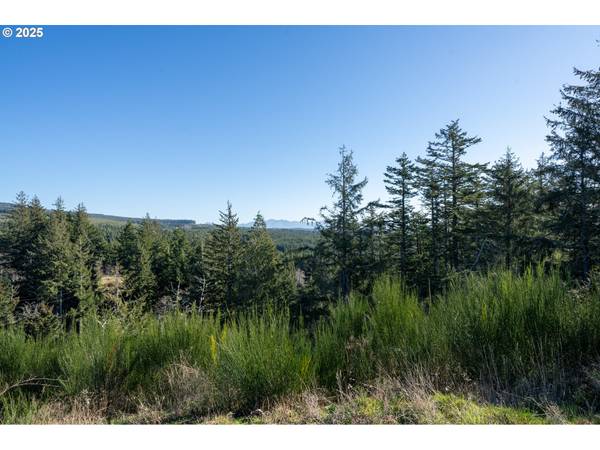 Ava-Lot 8 PL, Oceanside, OR 97134