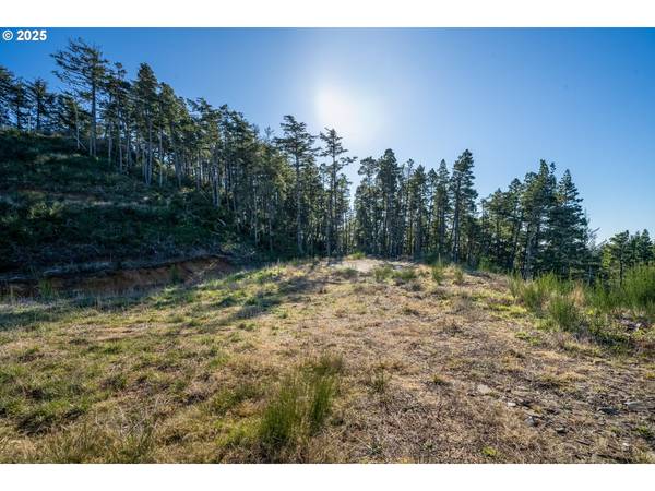 Highland-Lot1 DR, Oceanside, OR 97134