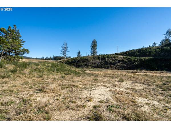 300 Roaring Tide-Lot 3 LOOP, Oceanside, OR 97134