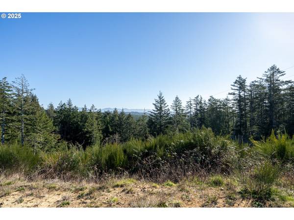 Ava-Lot 9 PL, Oceanside, OR 97134