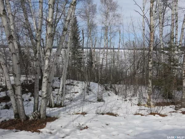 Tobin Lake, SK S0E 1E0,2 pop's PLACE