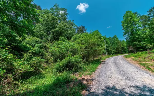 Mineral Bluff, GA 30559,3.35 Pine Lane