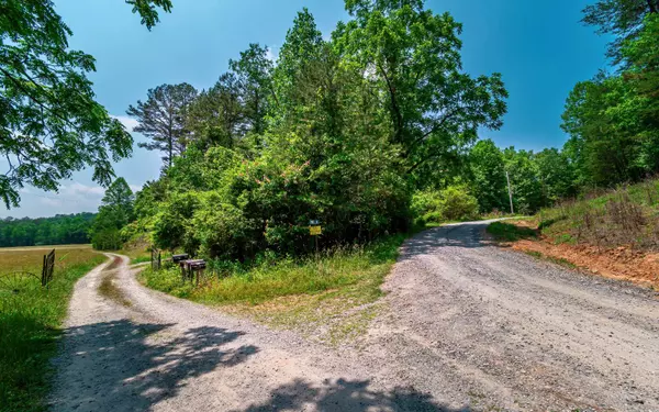 Mineral Bluff, GA 30559,3.35 Pine Lane