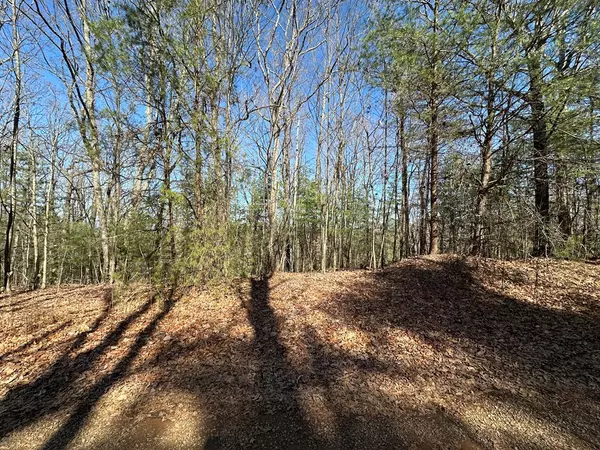 Ellijay, GA 30540,Lot 10 B Pine Mountain Drive