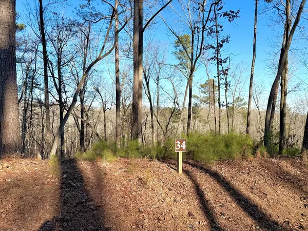 Ellijay, GA 30540,Lot 34 Hilton Drive