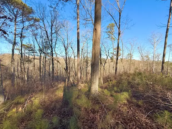 Ellijay, GA 30540,Lot 34 Hilton Drive