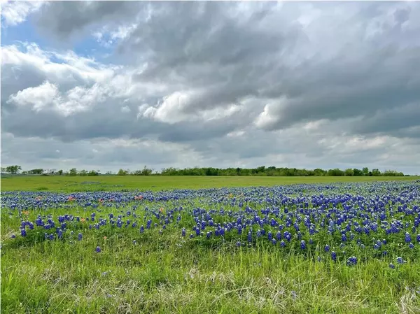 TBD 3 acres Alsdorf Road, Ennis, TX 75119