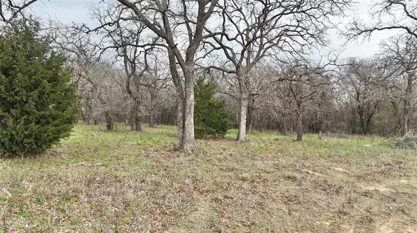 Lot 23-A FM 920, Weatherford, TX 76088