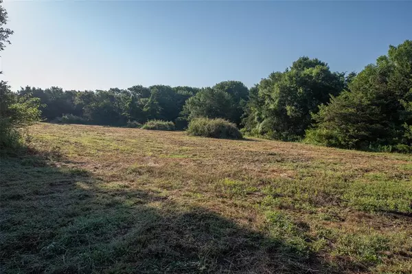 Fairview, TX 75069,TBD Lot 5 Orr Road